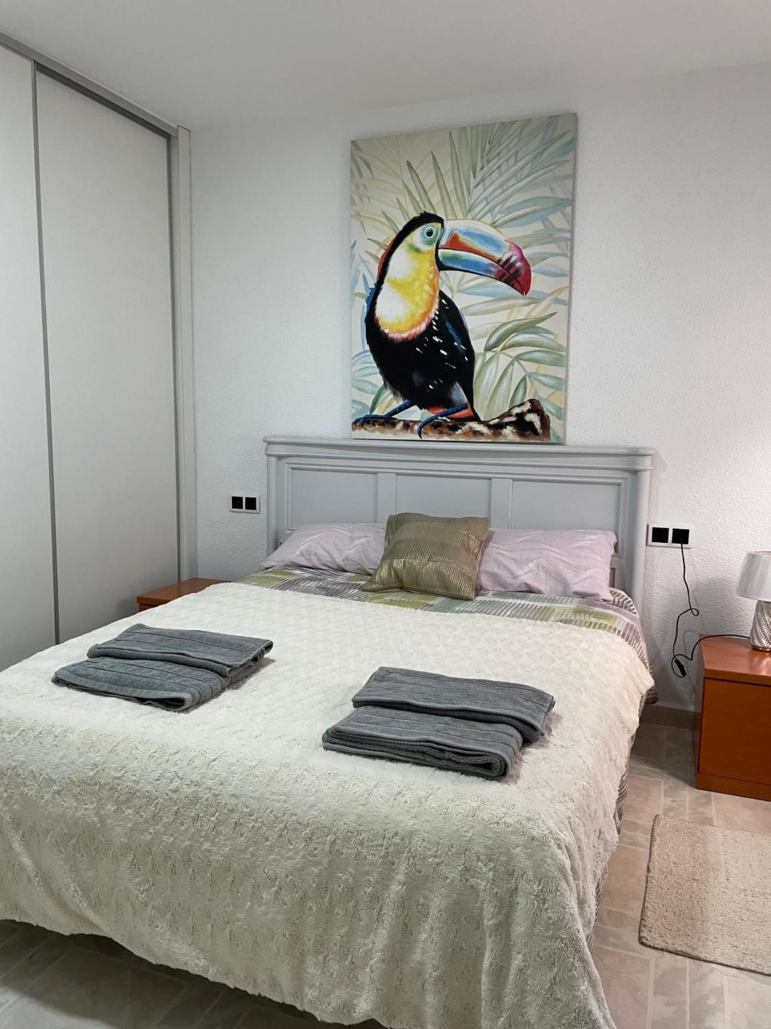 Habitacion En Piso Particular Sol Connect Alicante Kültér fotó